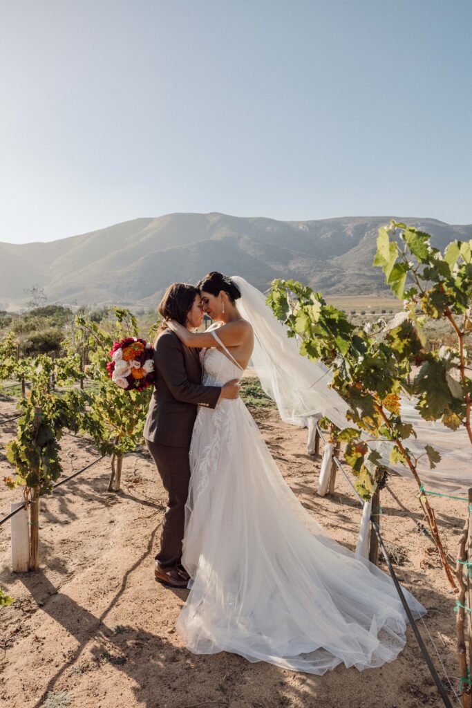 destination wedding in Mexico