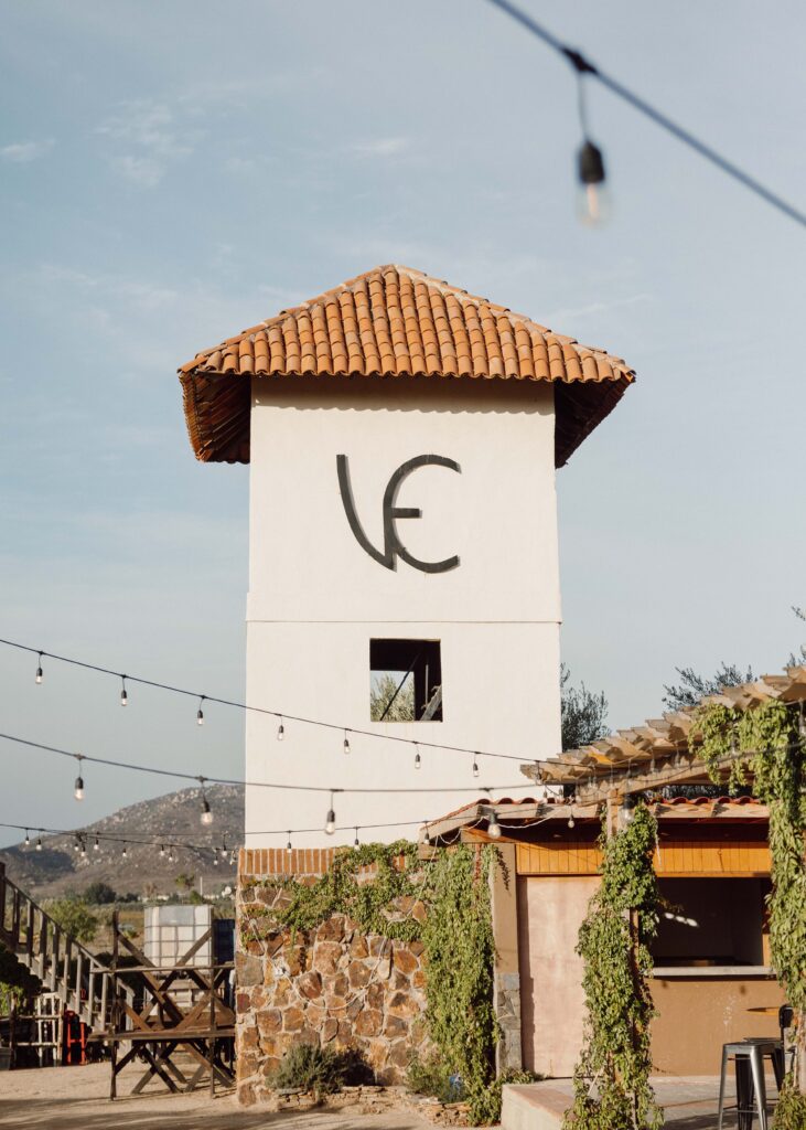 destination wedding in Mexico winery