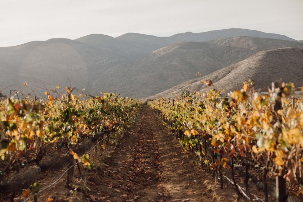 destination wedding in Mexico